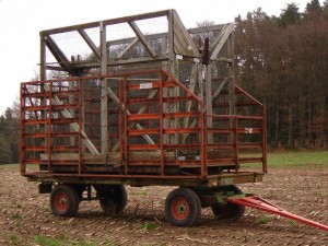 Une cage-piège sur une remorque agricole