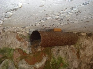 Un autre nichoir: un vieux tuyau suspendu