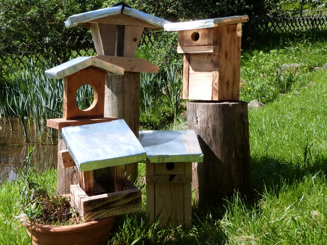 Chauves-souris : construisez un nichoir pour les accueillir chez vous - La  Salamandre