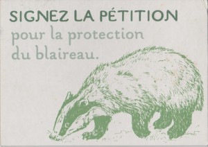 Signez la pétition pour la protection du blaireau