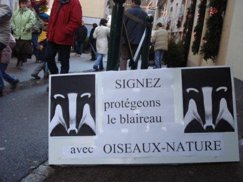Blaireau-Signez la pétition