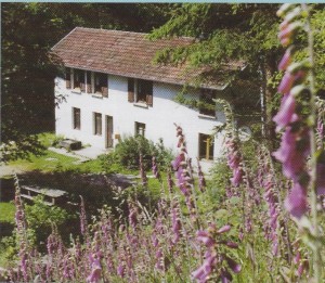 La scierie d'Avin, la maison de Oiseaux Nature