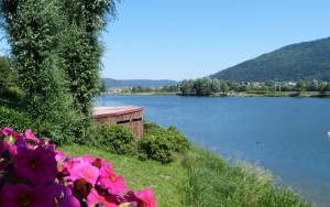 L'affût au plan d'eau de Remiremont