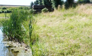 L'affût au plan d'eau de Remiremont - Photo Pascale Meignan