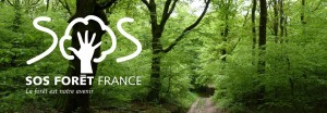 Logo SOS Forêt France