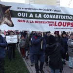 23 Manifestation contre les tirs de loups Lyon 16-01-2016