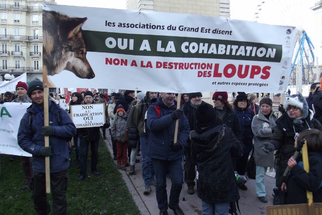 23 Manifestation contre les tirs de loups Lyon 16-01-2016