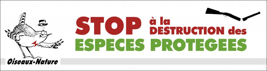 banderole Stop à la destruction des espèces protégées Oiseaux Nature