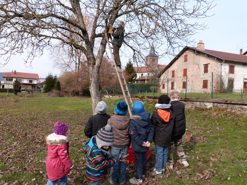 Avec Ois Nat les enfants de Tendon ont fabriqué des nichoirs 16-03-2016