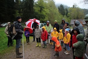 La protection des amphibiens au Val d'Ajol
