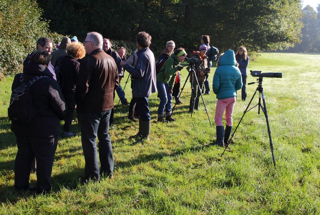 Le programme des sorties nature Ois Nat est téléchargeable