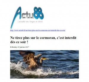 Ne tirez plus sur le cormoran c’est interdit dès ce soir - Actu 88 du 25-01-2017