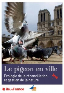 le pigeon en ville-Ecologie de la réconciliation et gestion de la nature - Naturparif