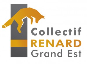  Collectif Renard Grand Est