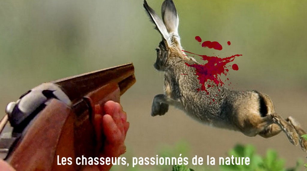 Pétition :état d’urgence pour la reprise de la chasse