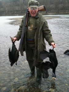 Tirs de grands cormorans