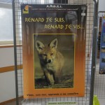 Les renards à l'Assemblée Générale Oiseaux Nature 2017