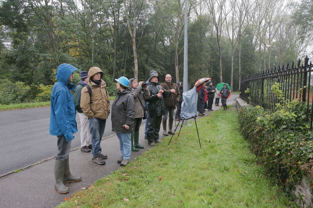 Sortie Nature Assemblée Générale Oiseaux Nature 2017