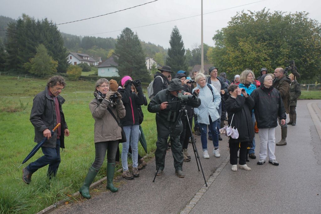 Sortie Nature Assemblée Générale Oiseaux Nature 2017-2