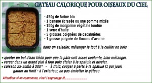 Recette de gâteau calorique pour les oiseaux du ciel - Annie B.