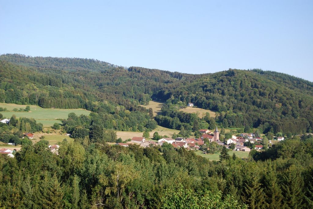 Un clocher et un environnement propices à la chouette effraie à Tendon