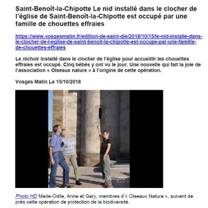 Le nid installé dans le clocher de l’église de Saint-Benoît-la-Chipotte est occupé par une famille de chouettes effraies-Vosges Matin 15-10-2018