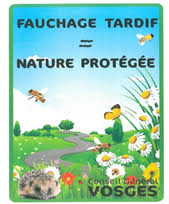 Fauchage tardif nature protégée CG Vosges