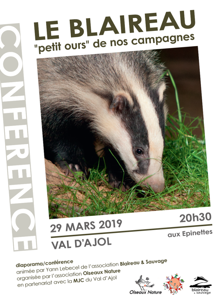 Affiche Conférence Le blaireau petit ours de nos campagnes 29-03-2019