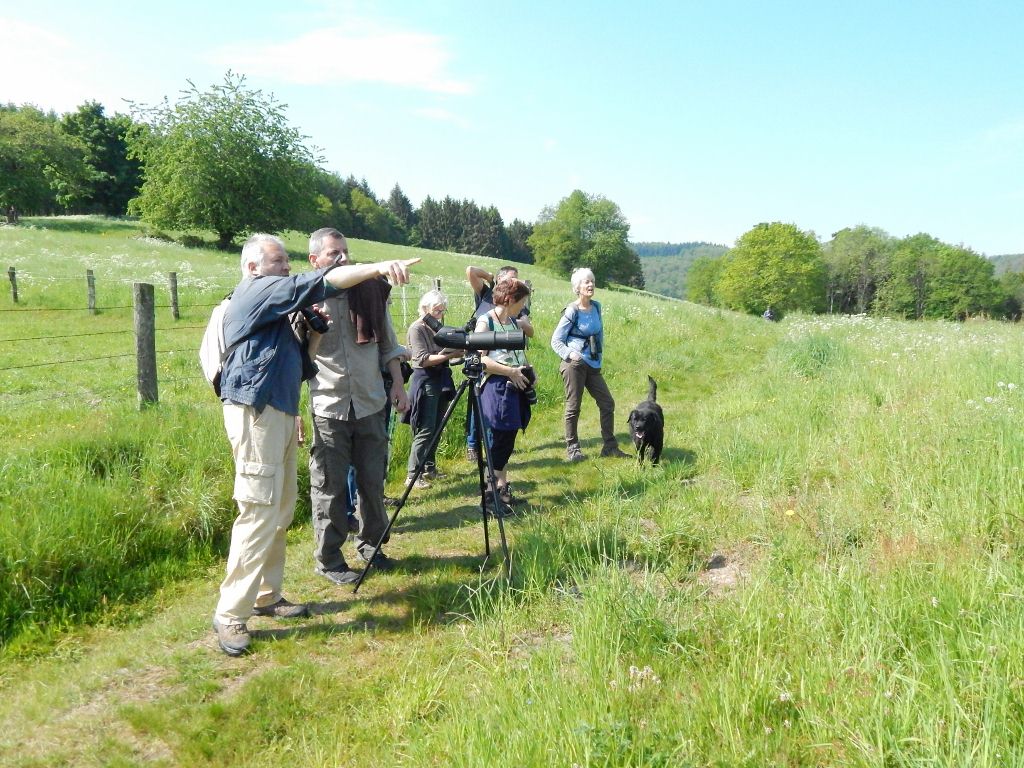 Balade nature à Tendon-2 le 25-05-2019 sortie