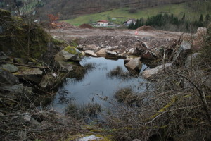 SOS Mare en danger de comblement à Cornimont - avril 2018