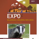 Expo Connaissez-vous le bourru des bois à Epinal du 2 au 29 Septembre 2019 - blaireau