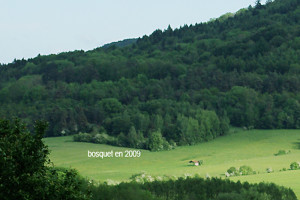 bosquet 2009
