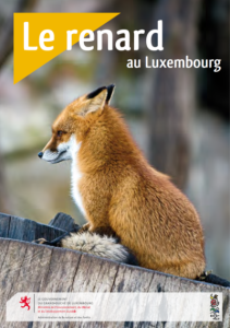 Le renard au Luxembourg - Ministère de l'environnement 2020