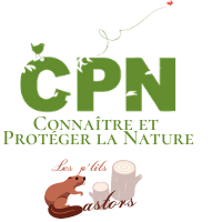 Logo CPN Les p'tits castors
