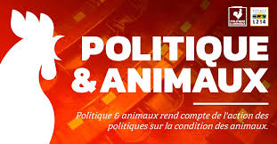 Logo Politique & Animaux