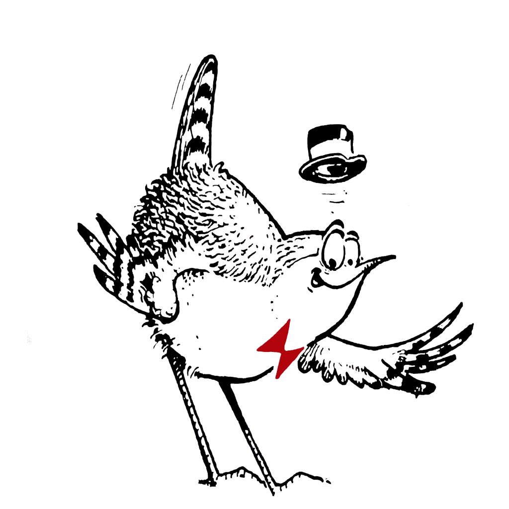 Logo oiseaux nature Favicon2