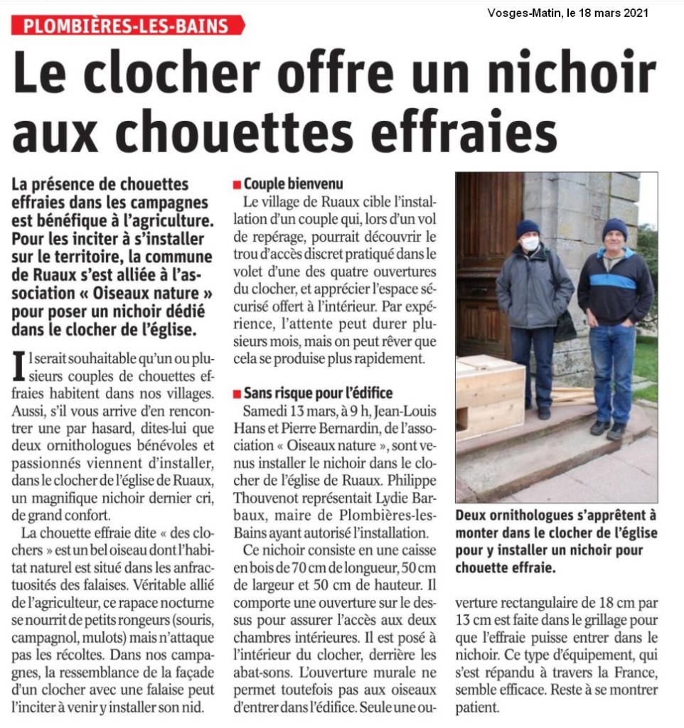 Plombière les Bains Le clocher offre un nichoir aux chouettes effraies - Vosges Matin 18 mars 2021