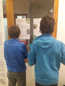 Exposition renard au collège de Plombière les bains - Mars 2021