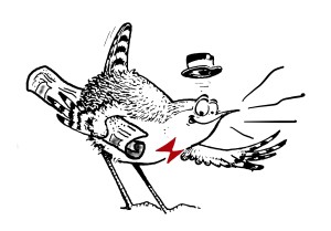 logo Ois-Nat revue de presse