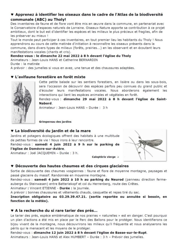 Sorties Oiseaux Nature 2022-2