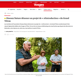 Oiseaux Nature dénonce un projet de réintroduction du Grand Tétras - Vosges Matin 10-05-2022
