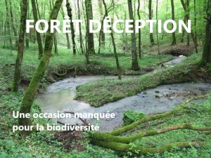 Forêt-FODEX-Martigny-les-Bains