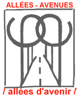 logo Allées- Avenues - Allées d'Avenir