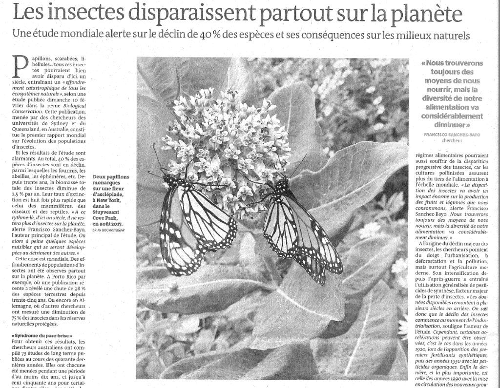 Les insectes disparaissent partout sur la planète - Le Monde du 14 février 2019