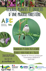 Oiseaux, plantes et insectes d’une prairie forestière au Tholy - 25 juin 2023