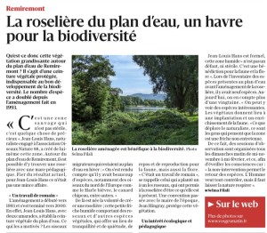 La roselière autour du plan d’eau de Remiremont a une valeur pédagogique - Vosges Matin le 17 août 2023