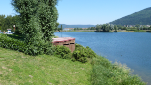 Appel pour le grand nettoyage à l'affût du plan d'eau de Remiremont