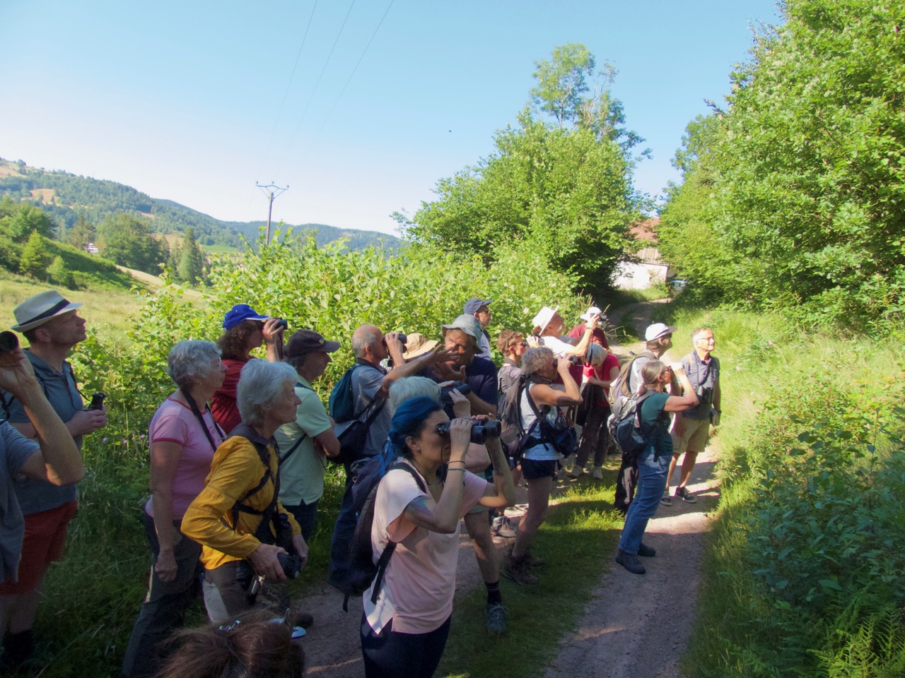 Sortie nature le Tholy 25-06-2023