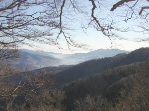 Vue de la crête du petit Ventron - Photo Pascale Meignan