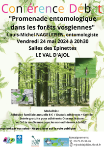 Conférence débat Promenade entomologique dans les forêts vosgiennes